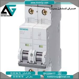 کلید مینیاتوری تایپ D مدل 5SY4205-8 زیمنس