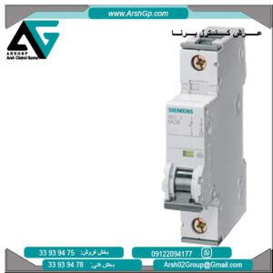 کلید مینیاتوری زیمنس، مدل 5SY6110-6